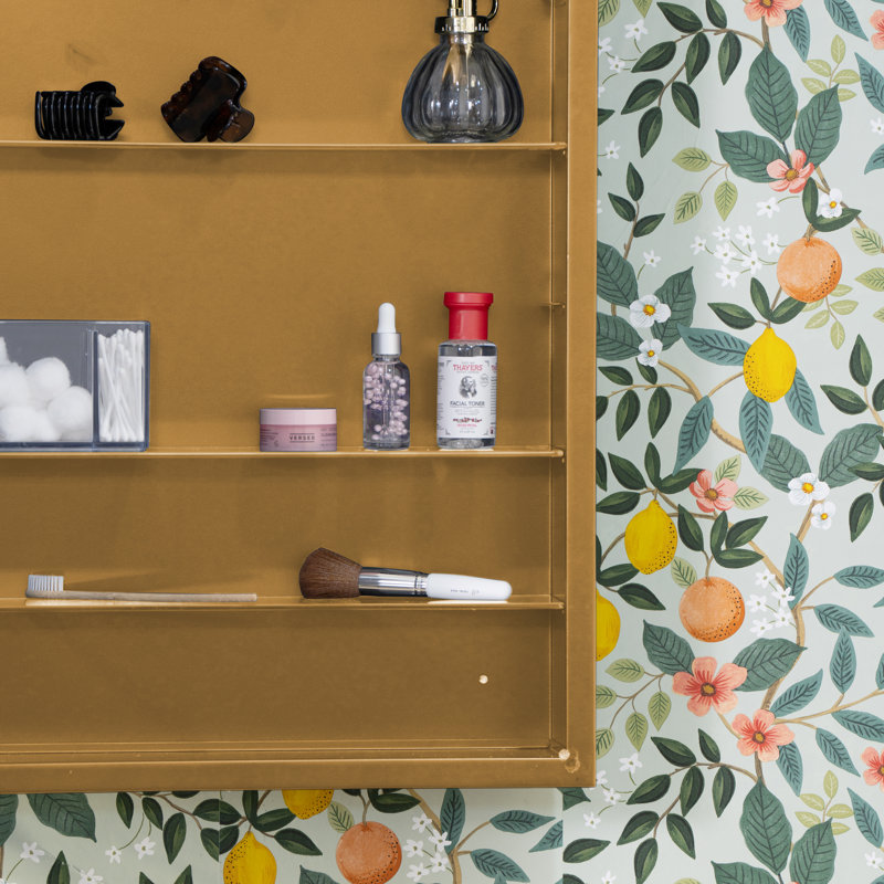 Simone Gold Metal Recess and Surface Mount Medicine Cabinet