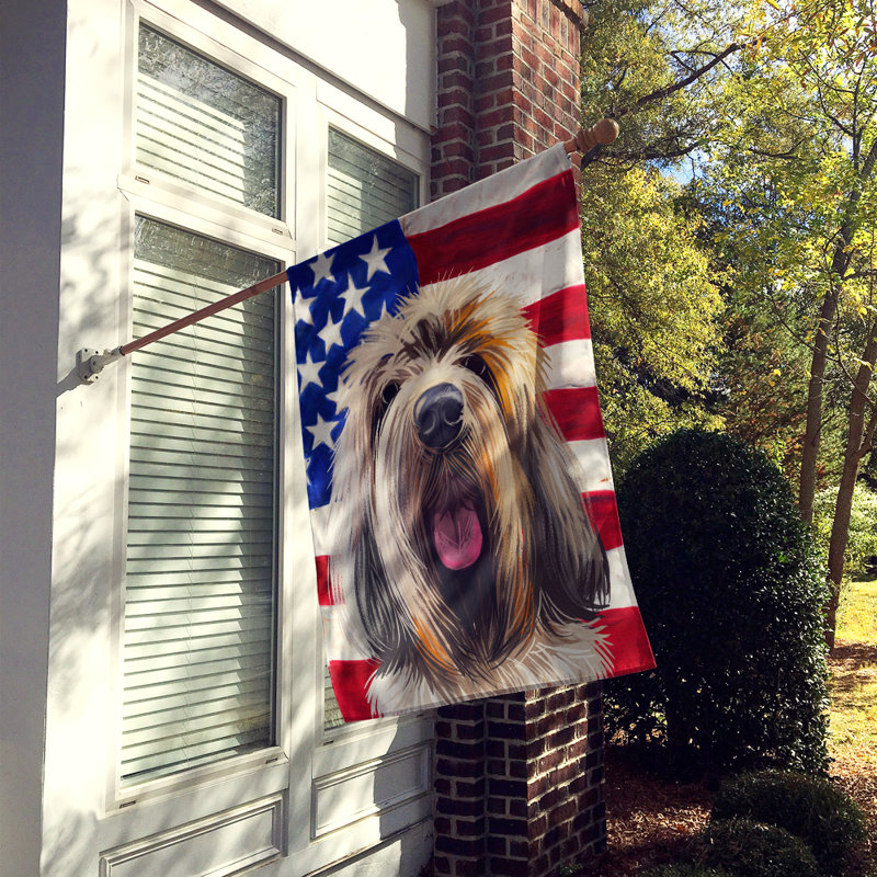 Polyester à 2 côtés 28 x 40 po drapeau maison, Grand Griffon de Vendée