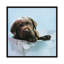 « car », reproduction de photo sur toile tendue Rachael Hale-72442368-72442370-72442386