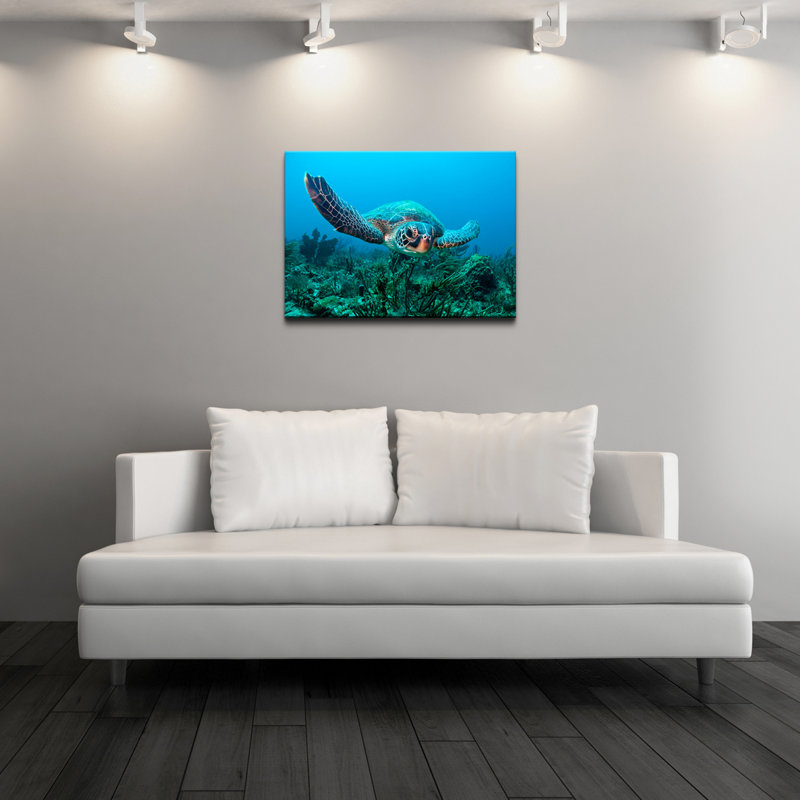 «Turtle», reproduction de photo sur toile