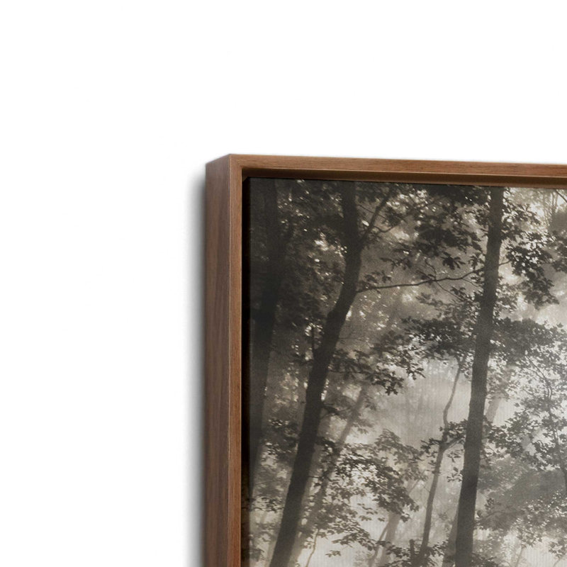 «Forest Illumination» par Lori Deiter, reproduction d'art, L 18 po x H 12 po, Brun, Toile avec cadre
