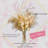 Pampa Arrangement