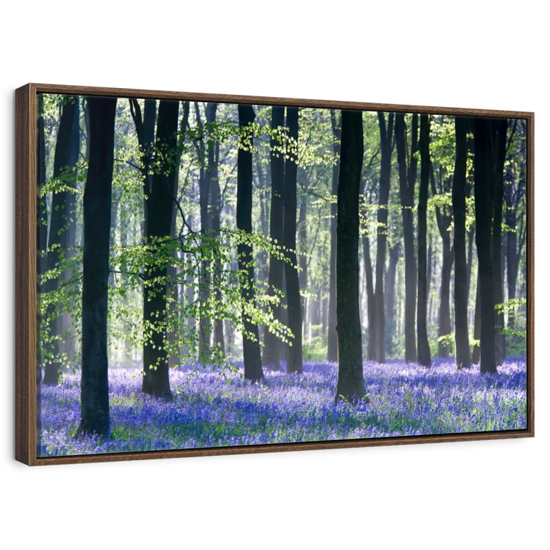 Bluebell Vision, 19 po x 13 po, Cadre flottant noyer