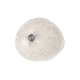 Onn 1 - Light LED Flush Mounted Sconce
