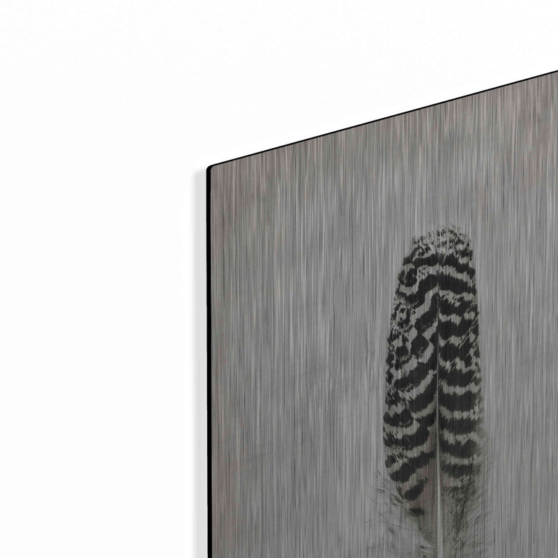 «Feather I B&W» par Debra Van Swearingen, H 24 po x l 16 po