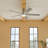 Lucian 60'' Ceiling Fan with LED Lights-715556960