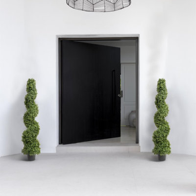 125cm Plant