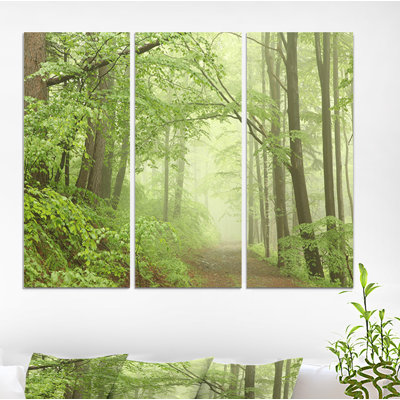 «Forest Trail at Beech Trees in the Fog», reproduction de photo à multiples images sur toile tendue