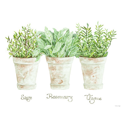 Herb Trio - reproduction sur toile tendue