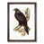 Walnut Framed