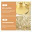 2 Piece Metal Wall Sconce Set