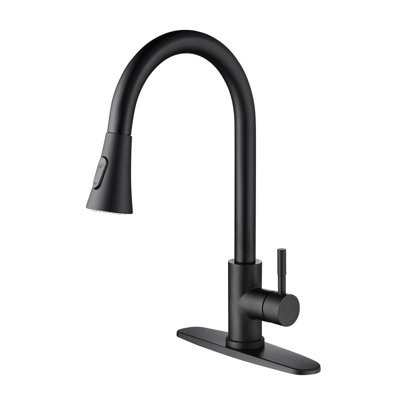 Casa Eclat Kitchen Faucet