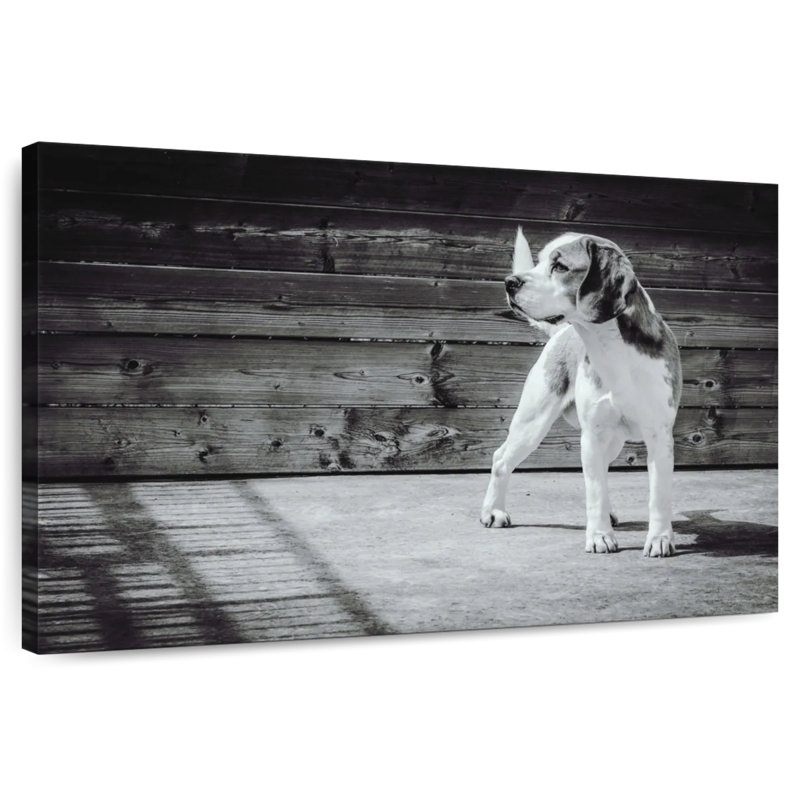 Brampt Monochrome Beagle, 16" H x 24" W