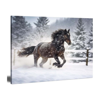Wrapped Canvas Print