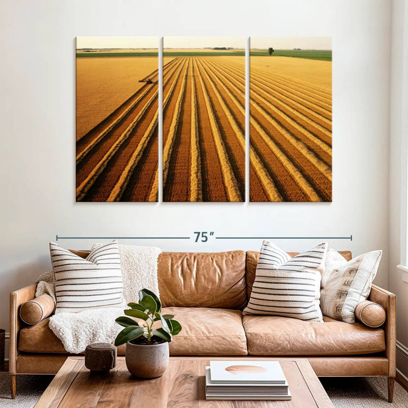 Wheat Field Lines