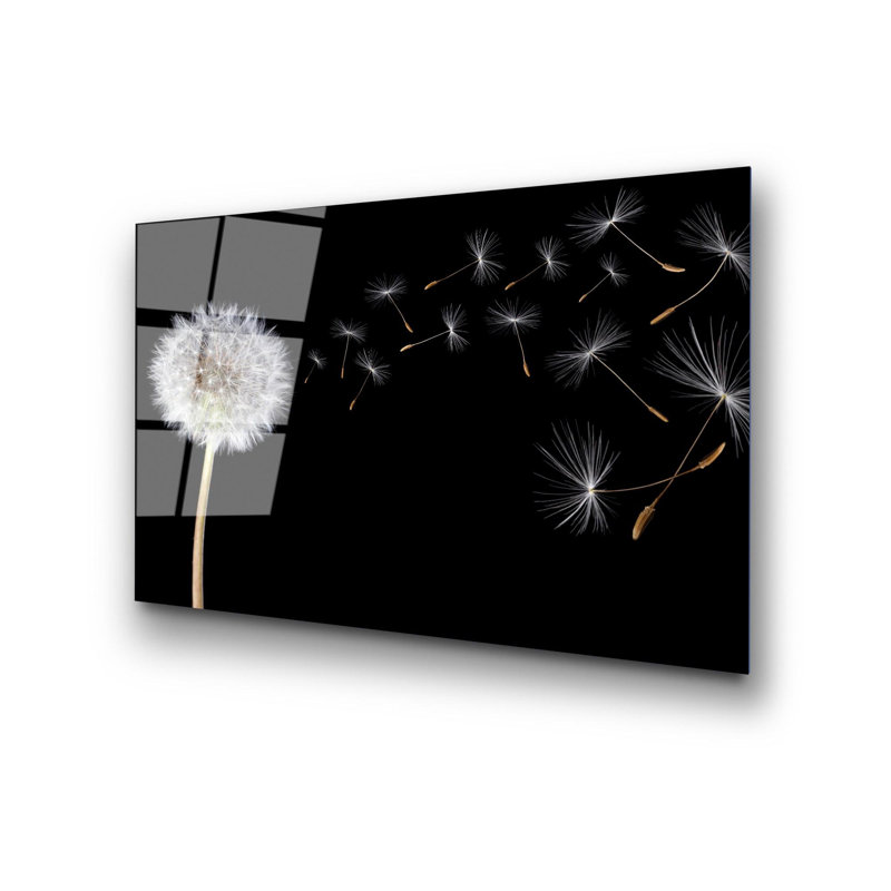 Boze Print on Glass