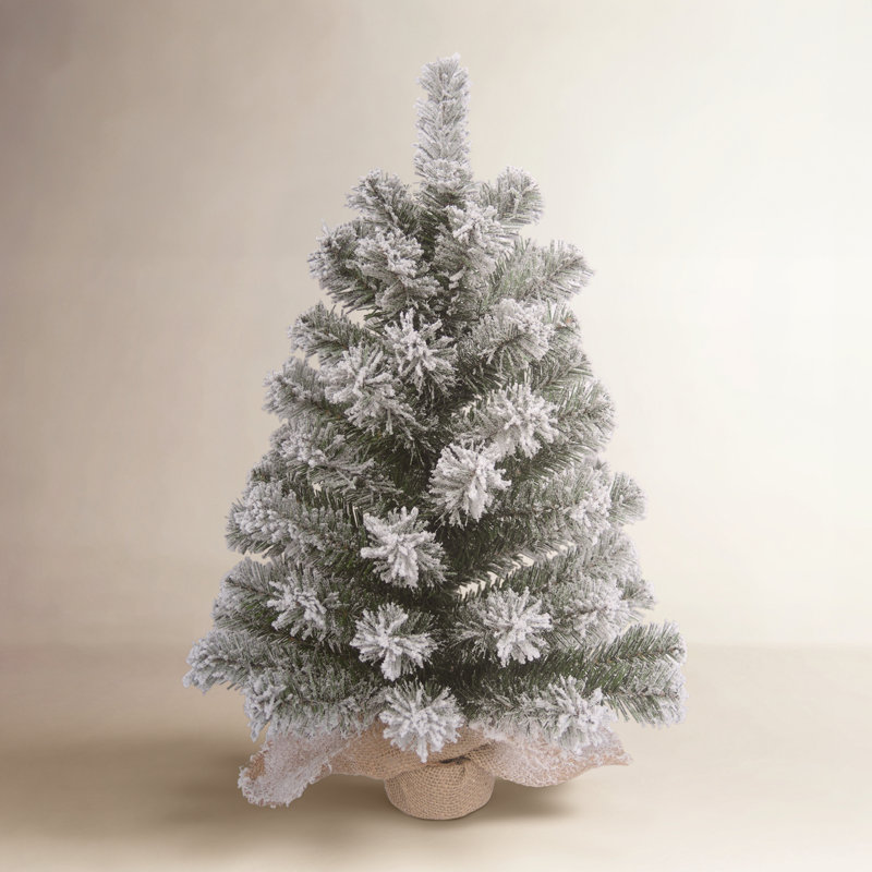 Arbre de Noël Habibatou, Colorado, 2'