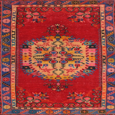 Oriental Indoor Rug