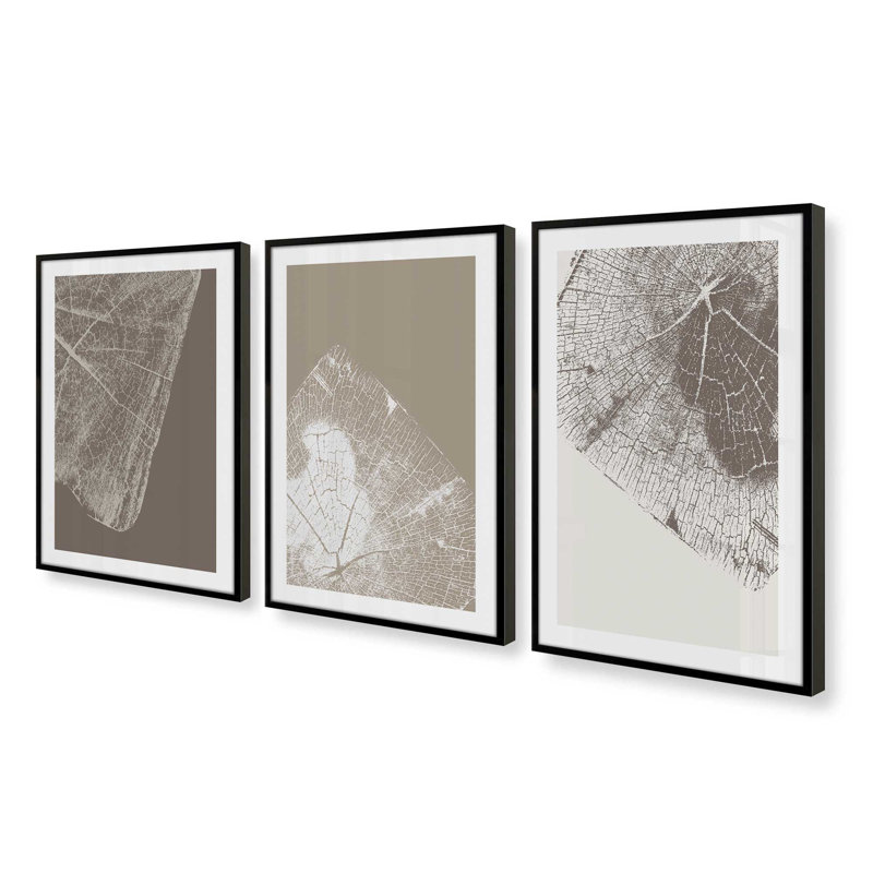 Ensemble de 3 gravures Timeless Grains, H 25,5 po x l 37,5 po x P 1,25 po, Cadre noir satiné