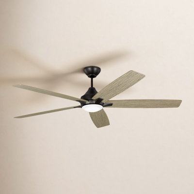 Lise 60'' Ceiling Fan