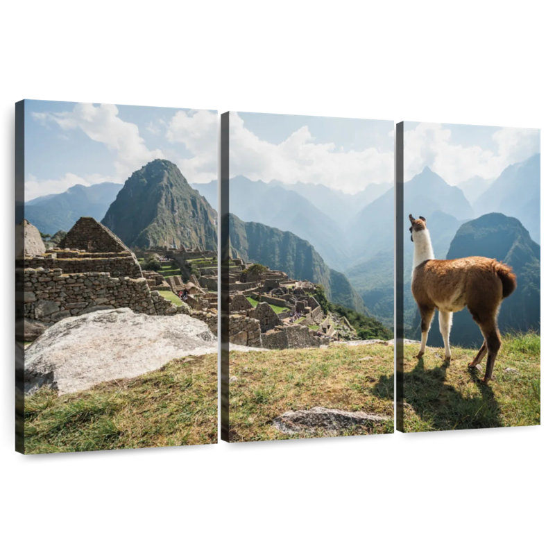 Brampt Llama And Machu Picchu, 42" H x 65" W