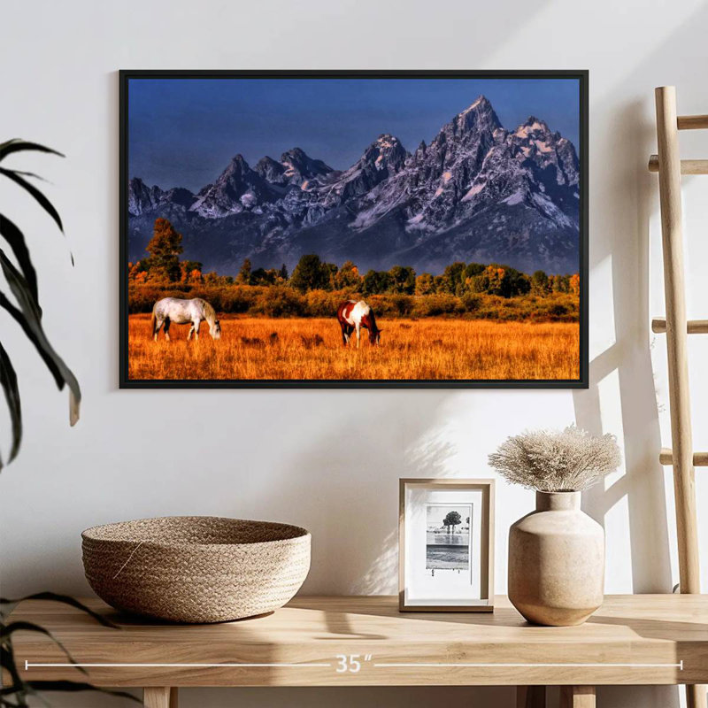 Chevaux paissant à Grand Teton, 25 po x 17 po, Cadre flottant noir