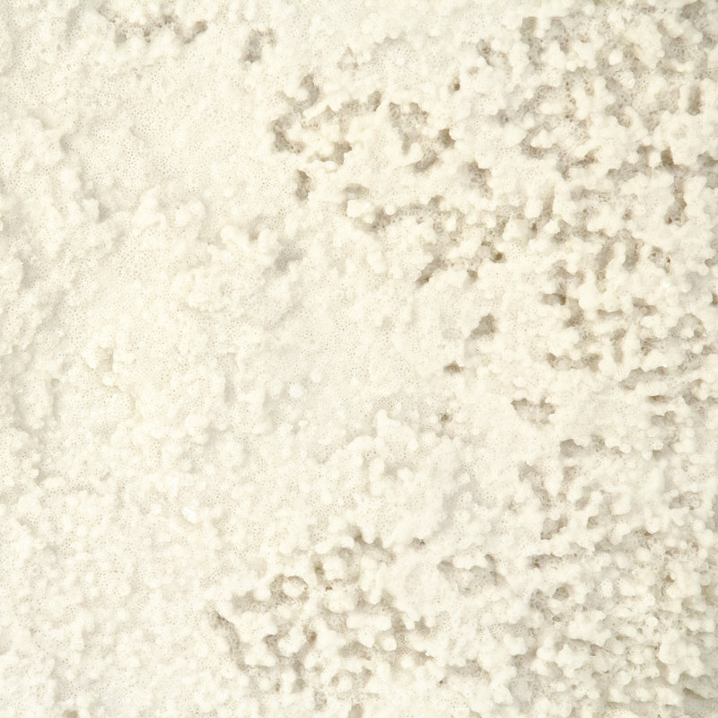 White Coral On Gold Base in , Blue, 30" H x 22.5" W x 8" D, White