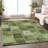 Premium Machine Washable Prisco Olive Rug-1366360487