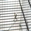Cage à oiseau, cage à perroquet, volière à oiseau avec support à roulettes détachable, panier de rangement et accessoires Pawhut