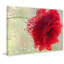 Red Rose In A Light Rain by Don Schwartz - Wrapped Canvas Print-1311697152
