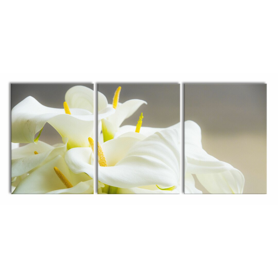 3-tlg. Leinwandbilder-Set Beautiful White Calla Lilies