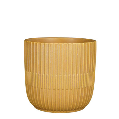 Carmindo Ceramic Pot Planter