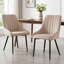 Chipman Velvet Upholstered Dining Chair-37275337