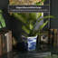Landscape Chinese Porcelain Pot Planter