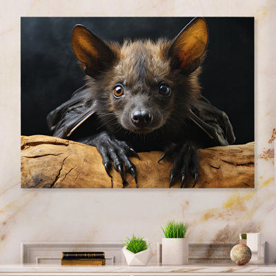 Bat Portrait I - Animals Print on Metal