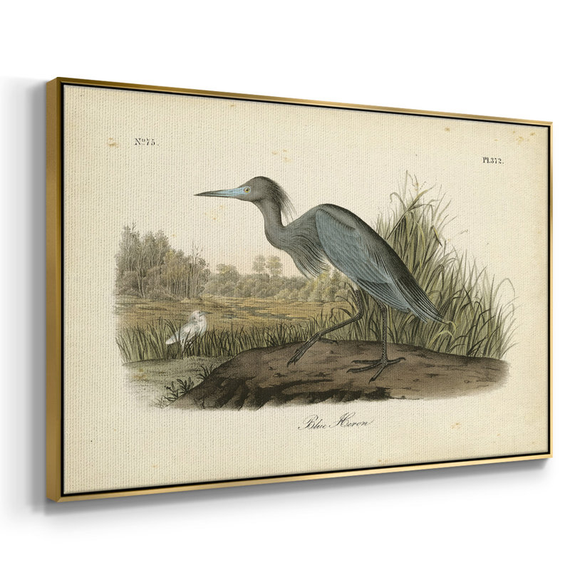 " Audubons Blue Heron " Print, 25" H x 37" W x 2" D, Gold