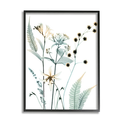 " Forest Garden Botanicals Translucent Plant " by Albert Koetsier Painting Print