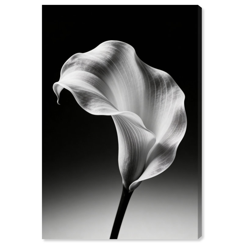 Petal Wave Print by Oliver Gal, 15" H x 10" W, Gallery Wrapped