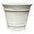 Pietra White