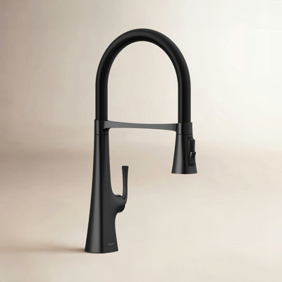 Graze Kitchen Faucet