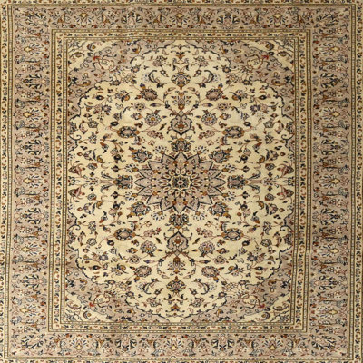 DeJuana Oriental Indoor Rug