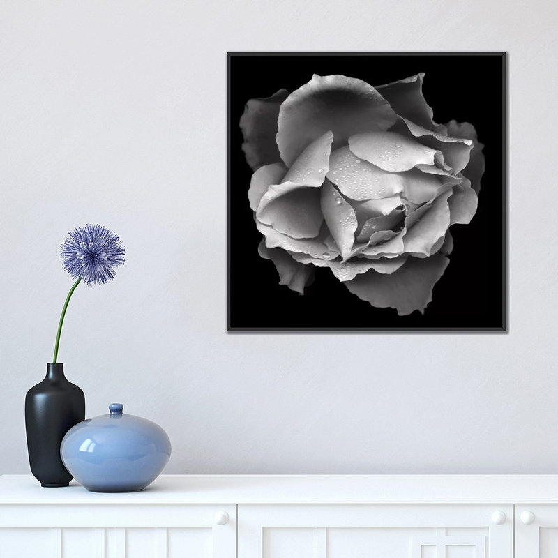 « saumon rose vii, b&w » par magda indigo, reproduction d’art sur toile, H 18 po x l 18 po x P 1,5 po, Toile avec cadre noir