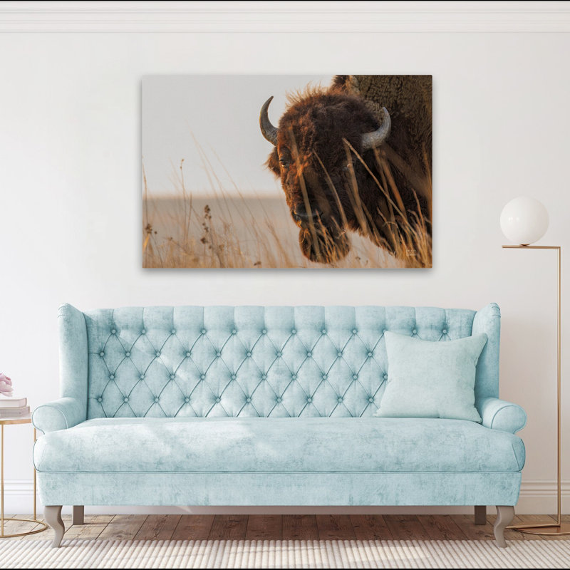 Coucher de soleil contemporain Bison, H 60 po x l 40 po