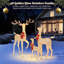 Ensemble de 3 présentoirs lumineux de famille de cerfs de Noël