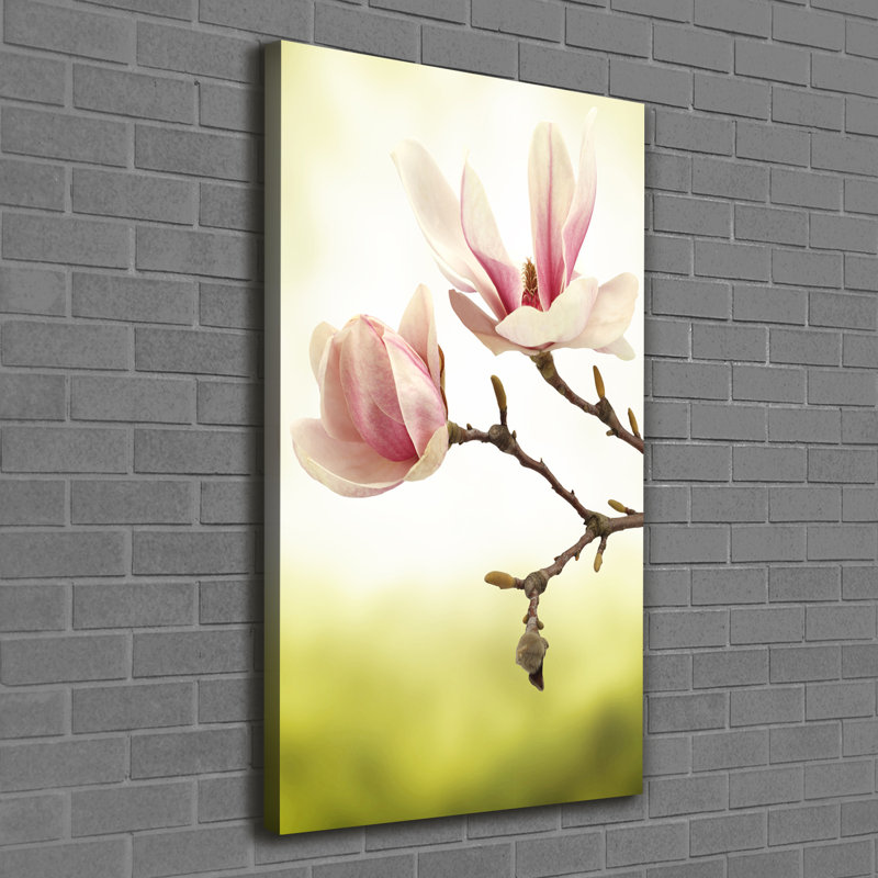 Magnolia Flowers - Wrapped Canvas Print