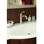 Astor Single Hole Bathroom Faucet with Drain Assembly-1359230802