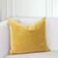 Issiah Rectangular Pillow Cover & Insert-174357068