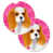 Brown Cavalier Spaniel