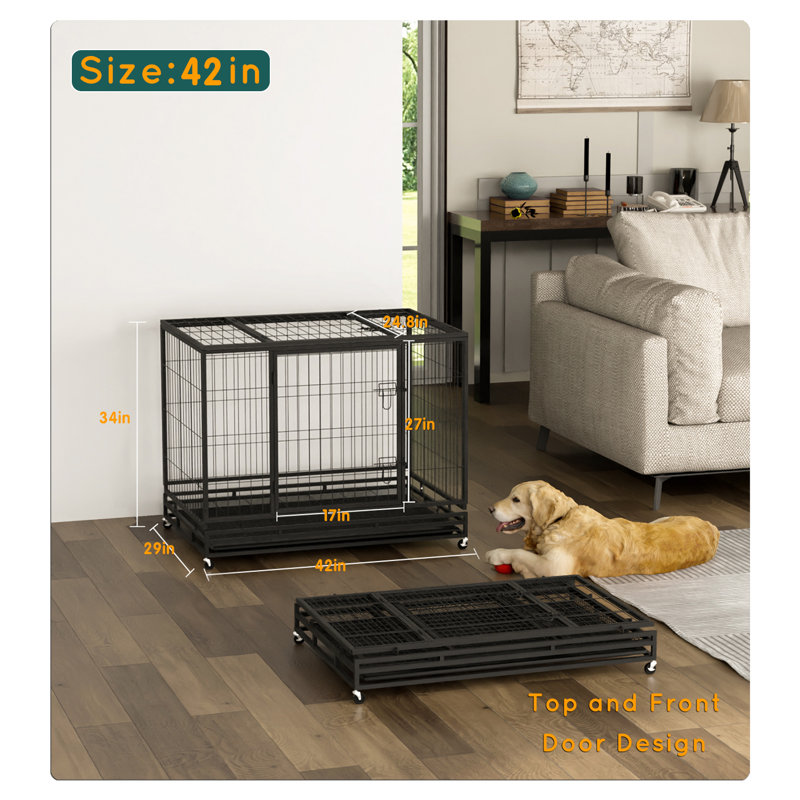Cage à cage robuste et robuste pour chien, Moyen (H 34 po x l 29 po x P 42 po)