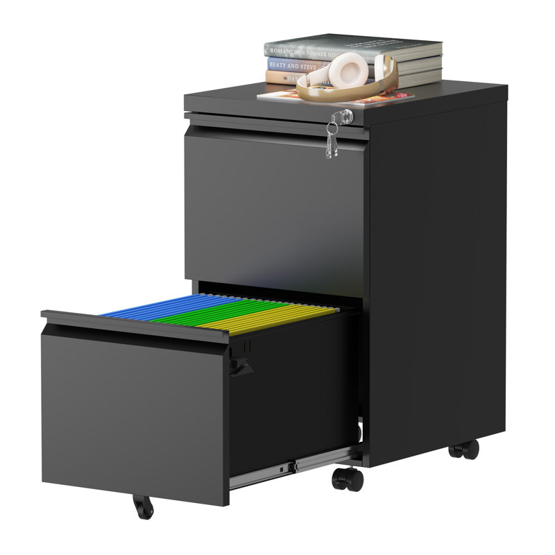 2 Drawer Mobile File Cabinet with Lock for Legal/Letter/A4 Size - Fully Assembled Except Wheels, Black